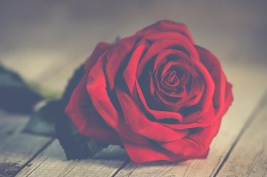 San valentino 2021 hotel jonico rosa rossa